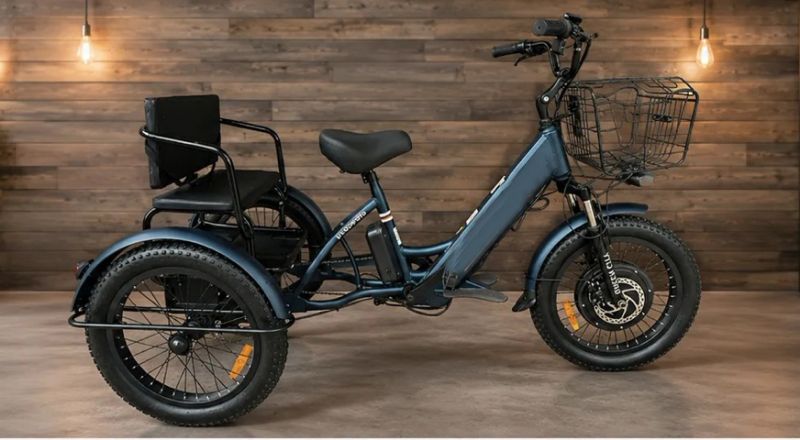 Трехколесный электровелосипед GREEN CITY e-ALFA Trike
